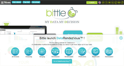 Desktop Screenshot of bittle-solutions.com